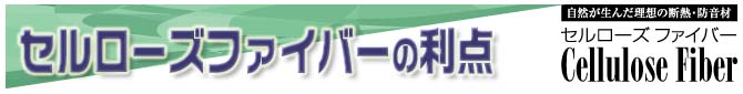 Z[Yt@Co[̗_