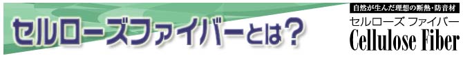 Z[Yt@Co[Ƃ́H